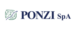 ponzi